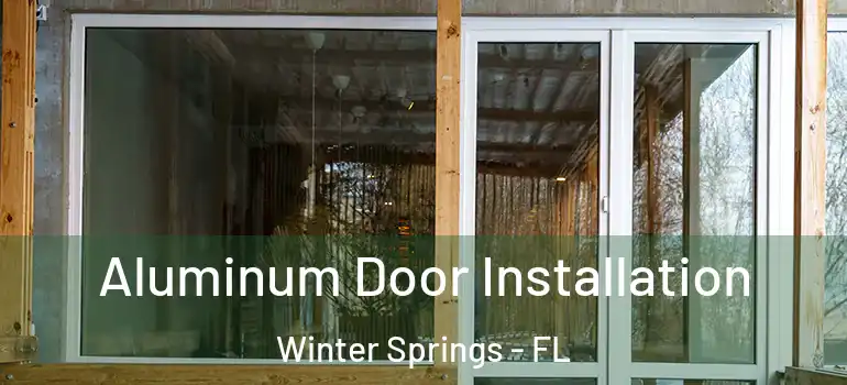 Aluminum Door Installation Winter Springs - FL