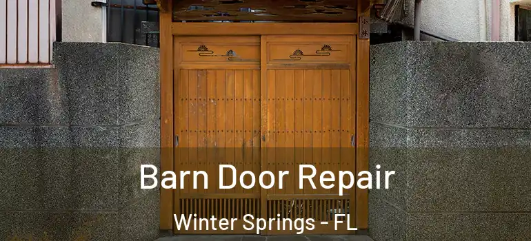Barn Door Repair Winter Springs - FL
