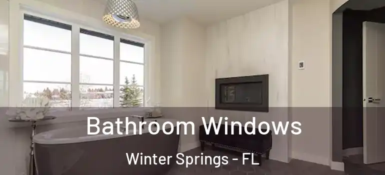 Bathroom Windows Winter Springs - FL