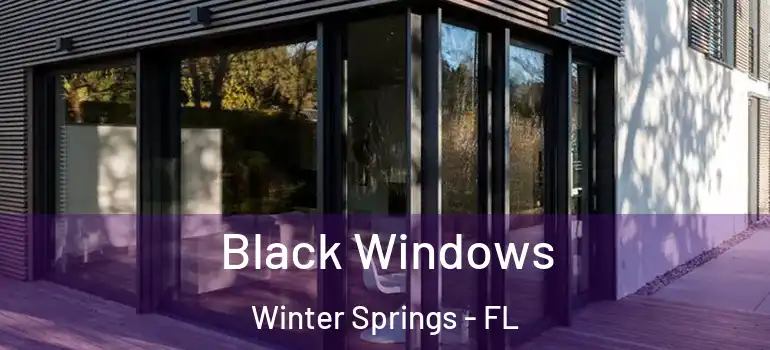Black Windows Winter Springs - FL