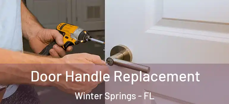 Door Handle Replacement Winter Springs - FL