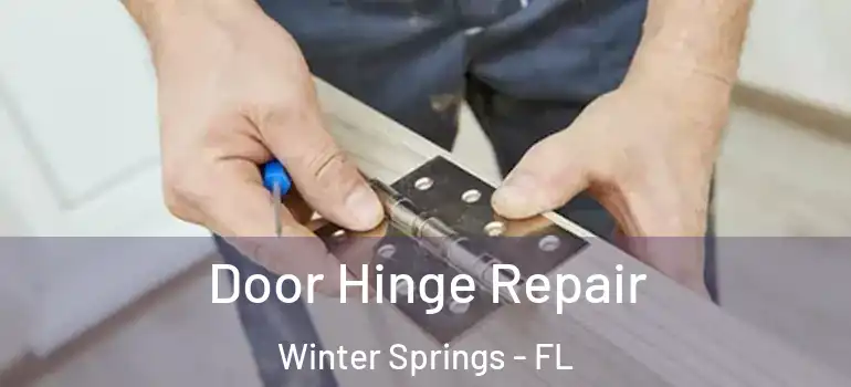 Door Hinge Repair Winter Springs - FL