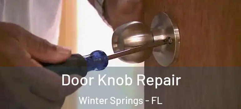 Door Knob Repair Winter Springs - FL