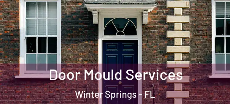 Door Mould Services Winter Springs - FL