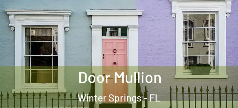 Door Mullion Winter Springs - FL