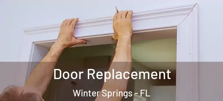 Door Replacement Winter Springs - FL