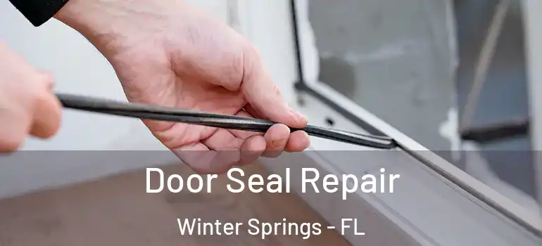 Door Seal Repair Winter Springs - FL