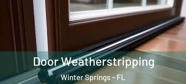 Door Weatherstripping Winter Springs - FL