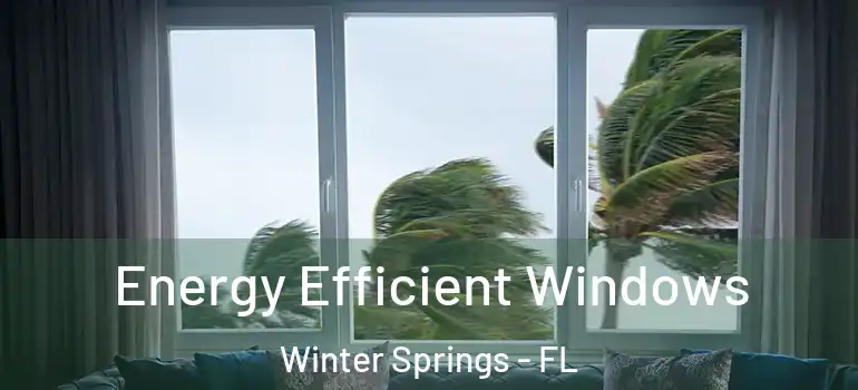 Energy Efficient Windows Winter Springs - FL
