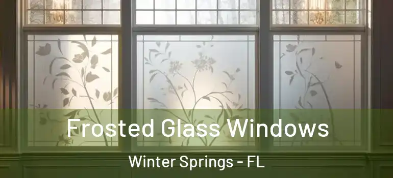 Frosted Glass Windows Winter Springs - FL