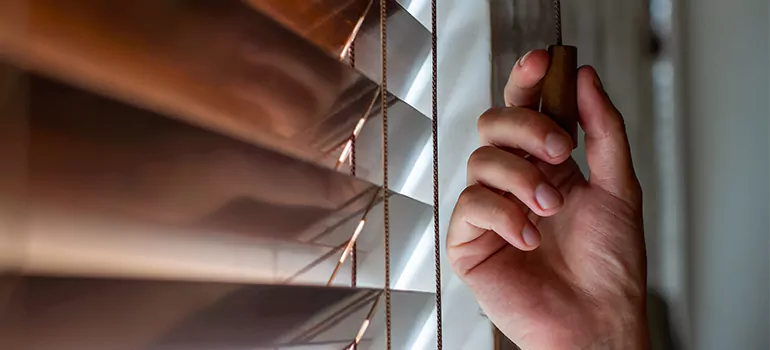 Double Roller Blinds in Winter Springs, FL