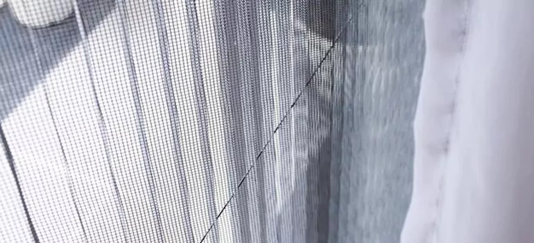 Fixing Screen Window Mesh in Winter Springs, FL