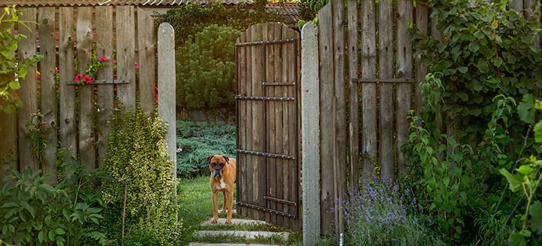Winter Garden Garage Door Repair in Winter Springs,[location field=state]