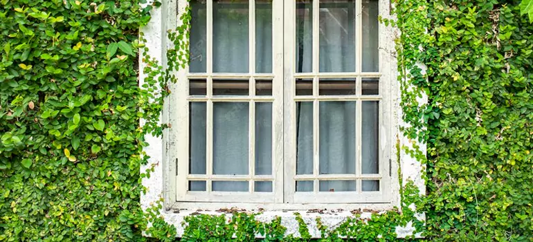 Garden Window Repair Near Me in Winter Springs, FL