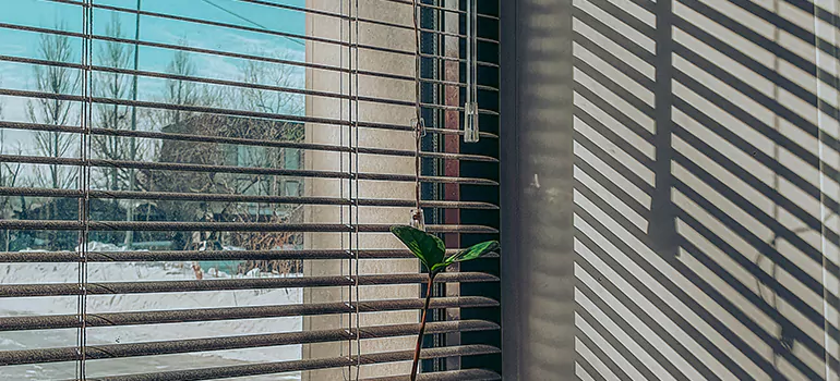 Commercial Window Blinds in Winter Springs, FL