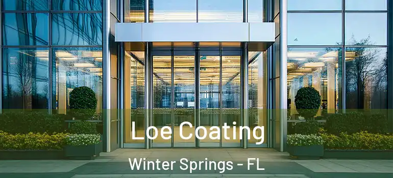 Loe Coating Winter Springs - FL