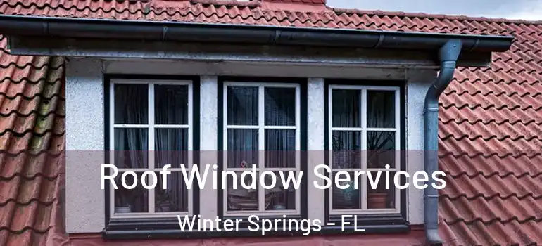 Roof Window Services Winter Springs - FL