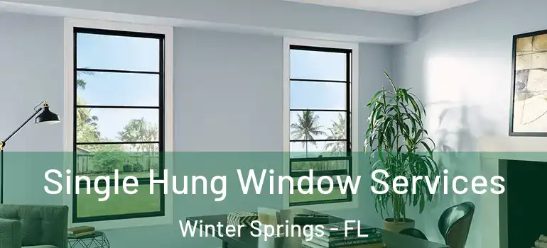 Single Hung Window Services Winter Springs - FL