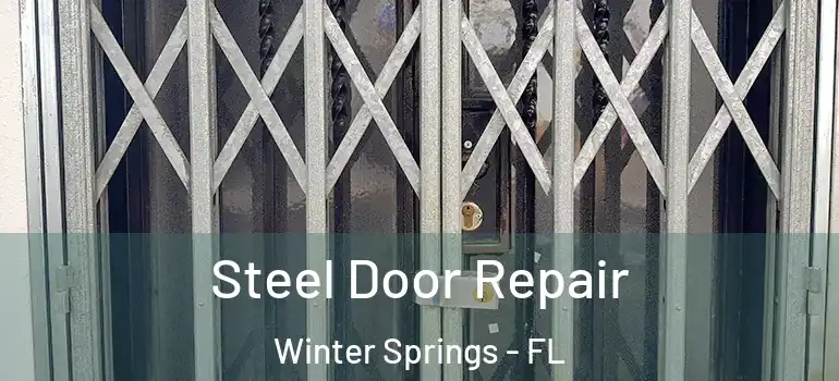 Steel Door Repair Winter Springs - FL