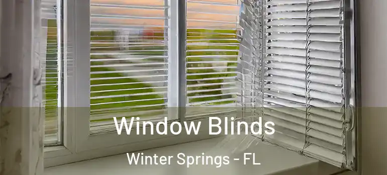 Window Blinds Winter Springs - FL