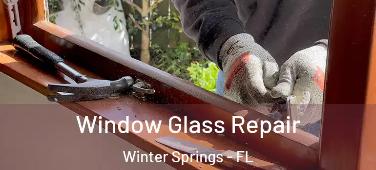 Window Glass Repair Winter Springs - FL
