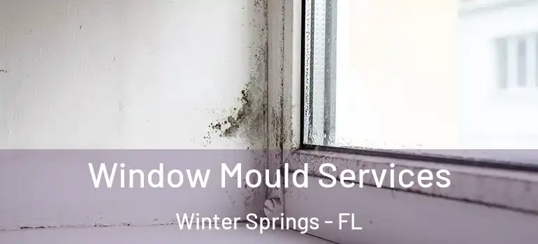 Window Mould Services Winter Springs - FL