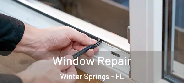Window Repair Winter Springs - FL