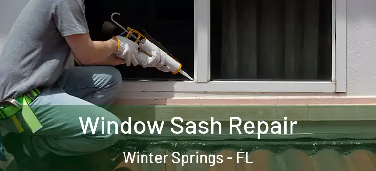 Window Sash Repair Winter Springs - FL