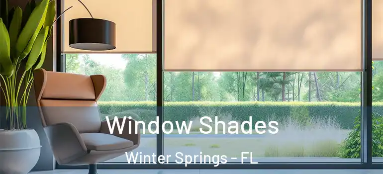 Window Shades Winter Springs - FL
