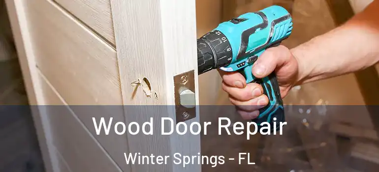 Wood Door Repair Winter Springs - FL